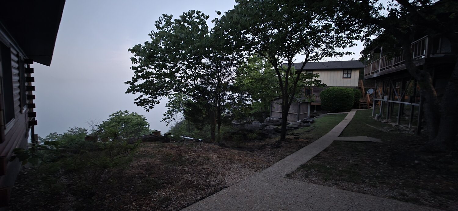 Cabin nestled among the trees in the early-morning quiet