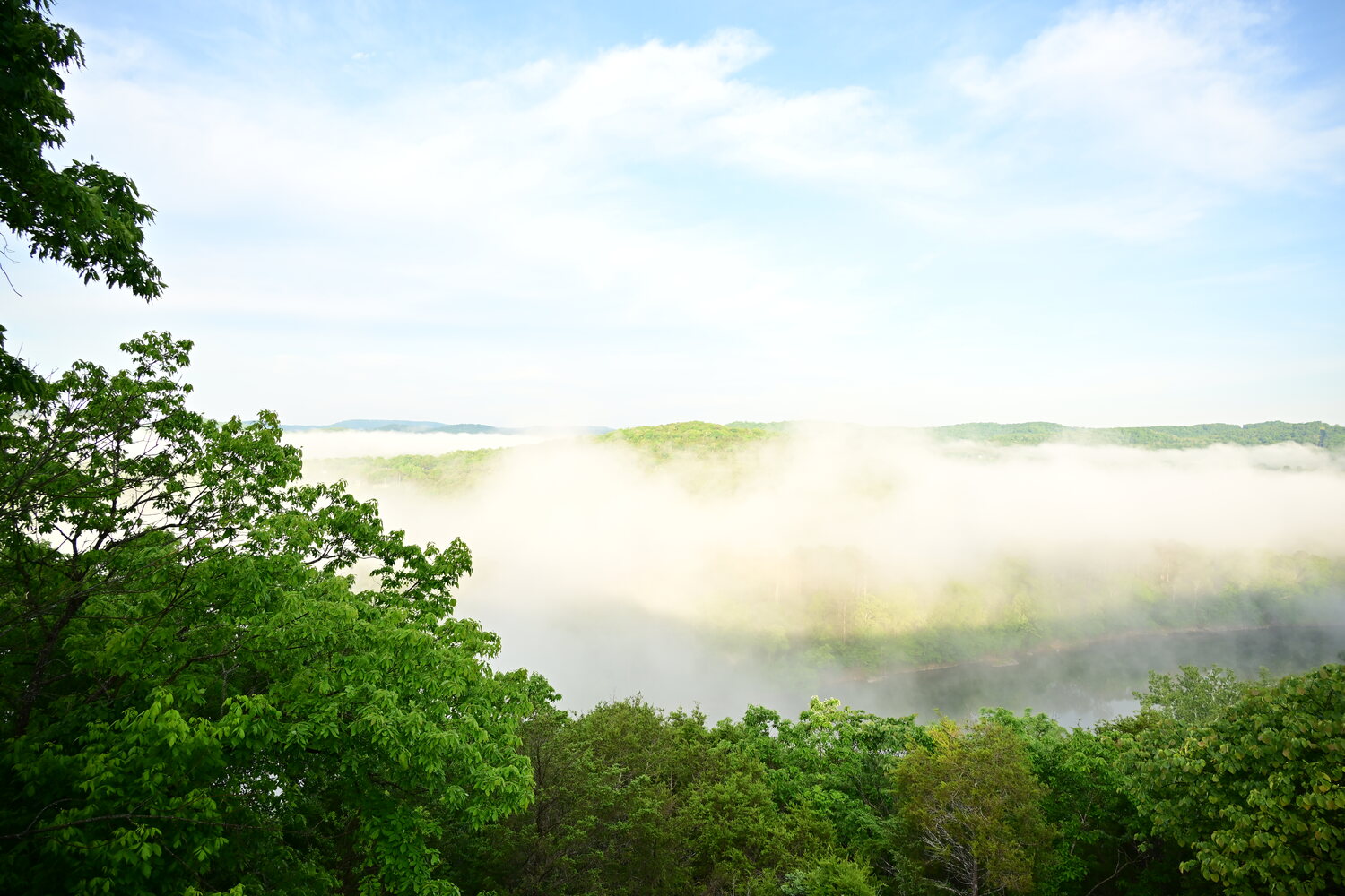 Distant Ozark hills emerging through layers of morning fog