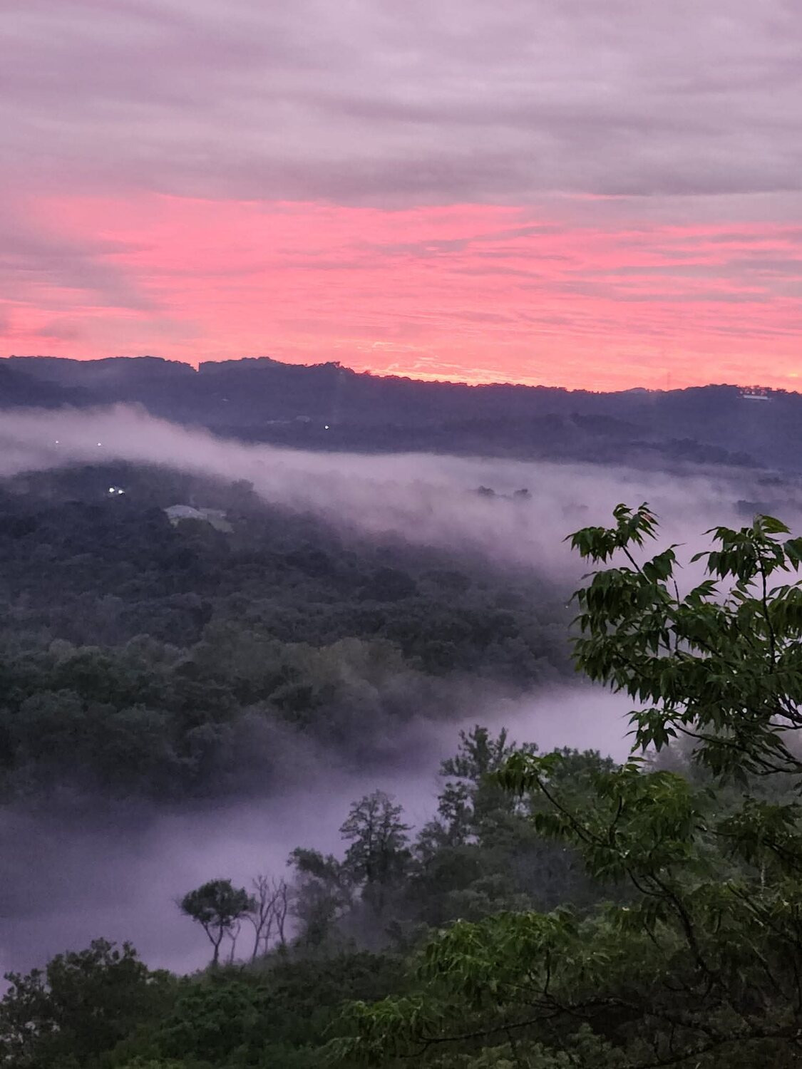 Pink dawn sky over a valley filled with morning fog in the Ozark Mountains